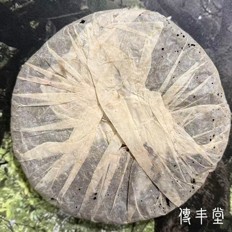 1998年 下關繁體中茶小黑飛泡餅